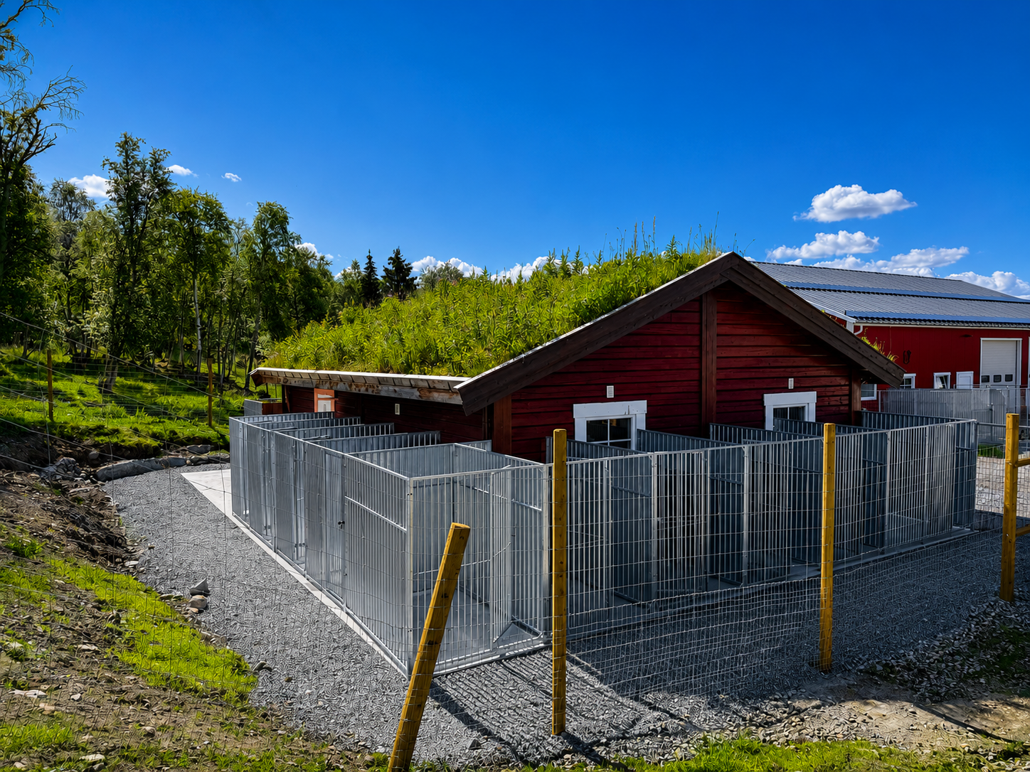 Hund som hviler trygt i kennel hos Storfloen